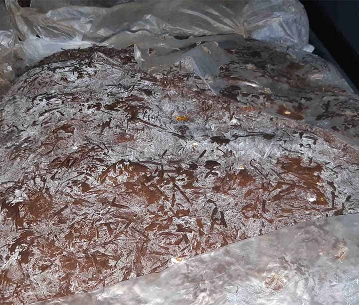 компост фазы 3 для выращивания шампиньонов