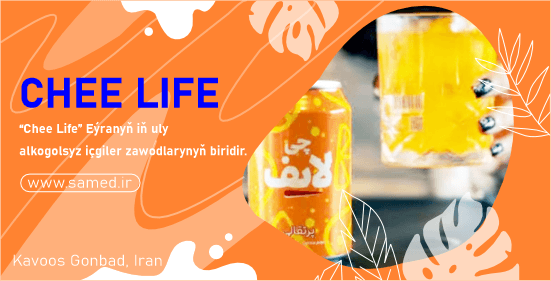 Chee Life cover
