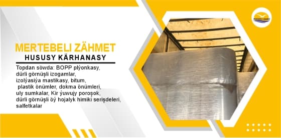 Mertebeli Zahmet cover