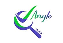 Anyk Audit