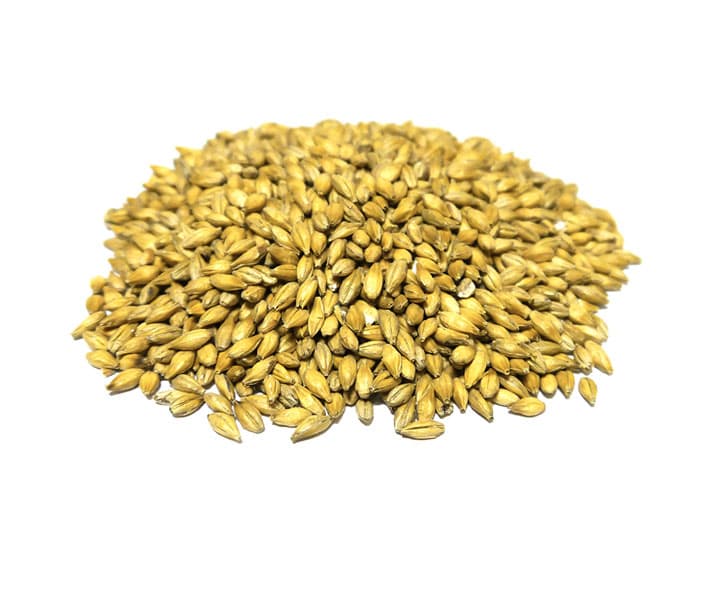 light brewing malt